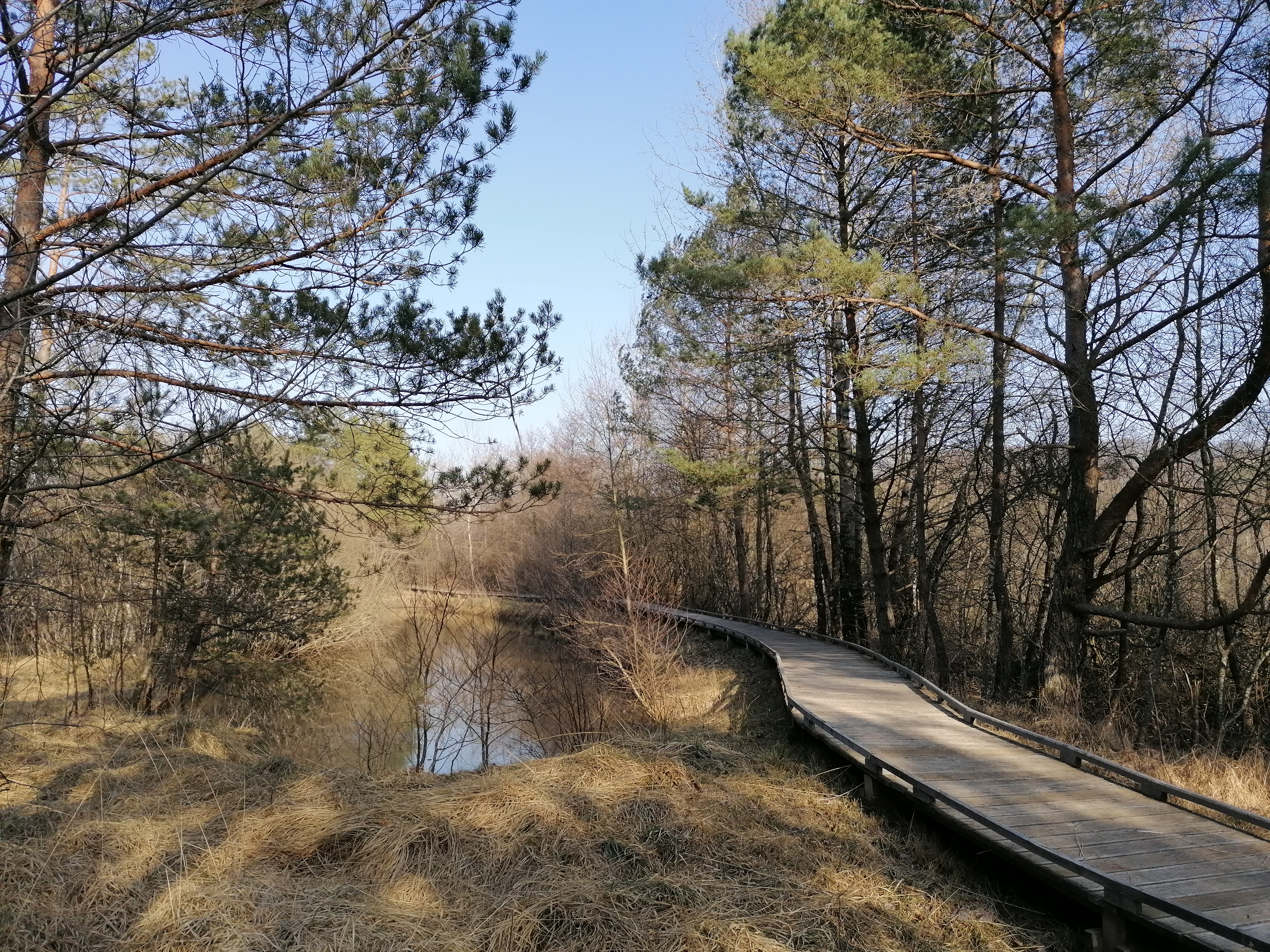 Étang de Breuillez