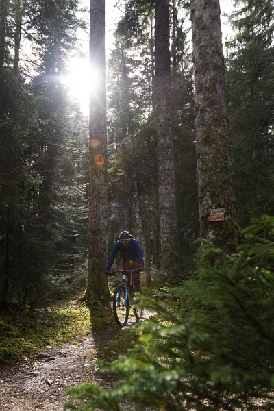 Singletrack