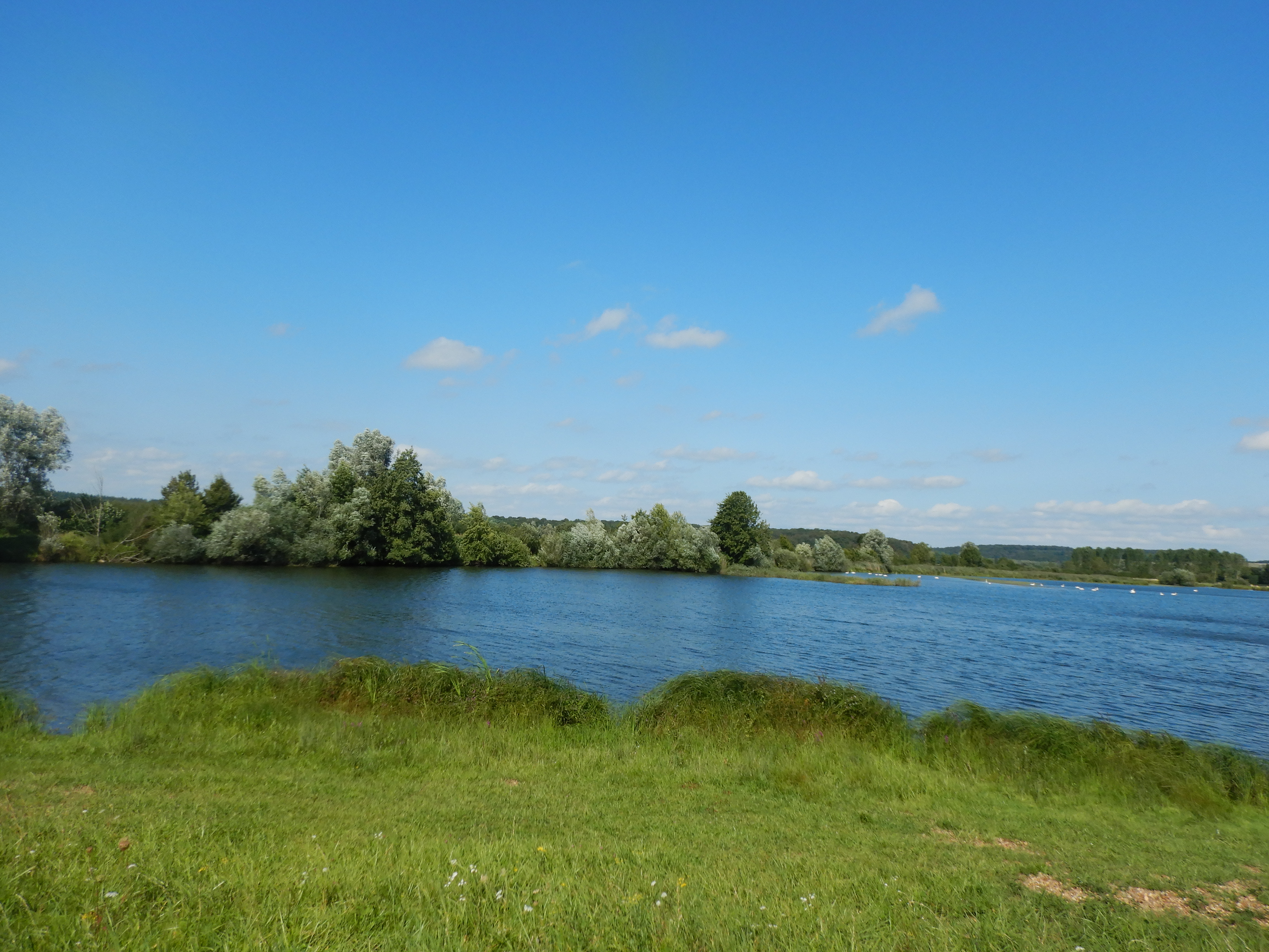 Gravière de Pagney