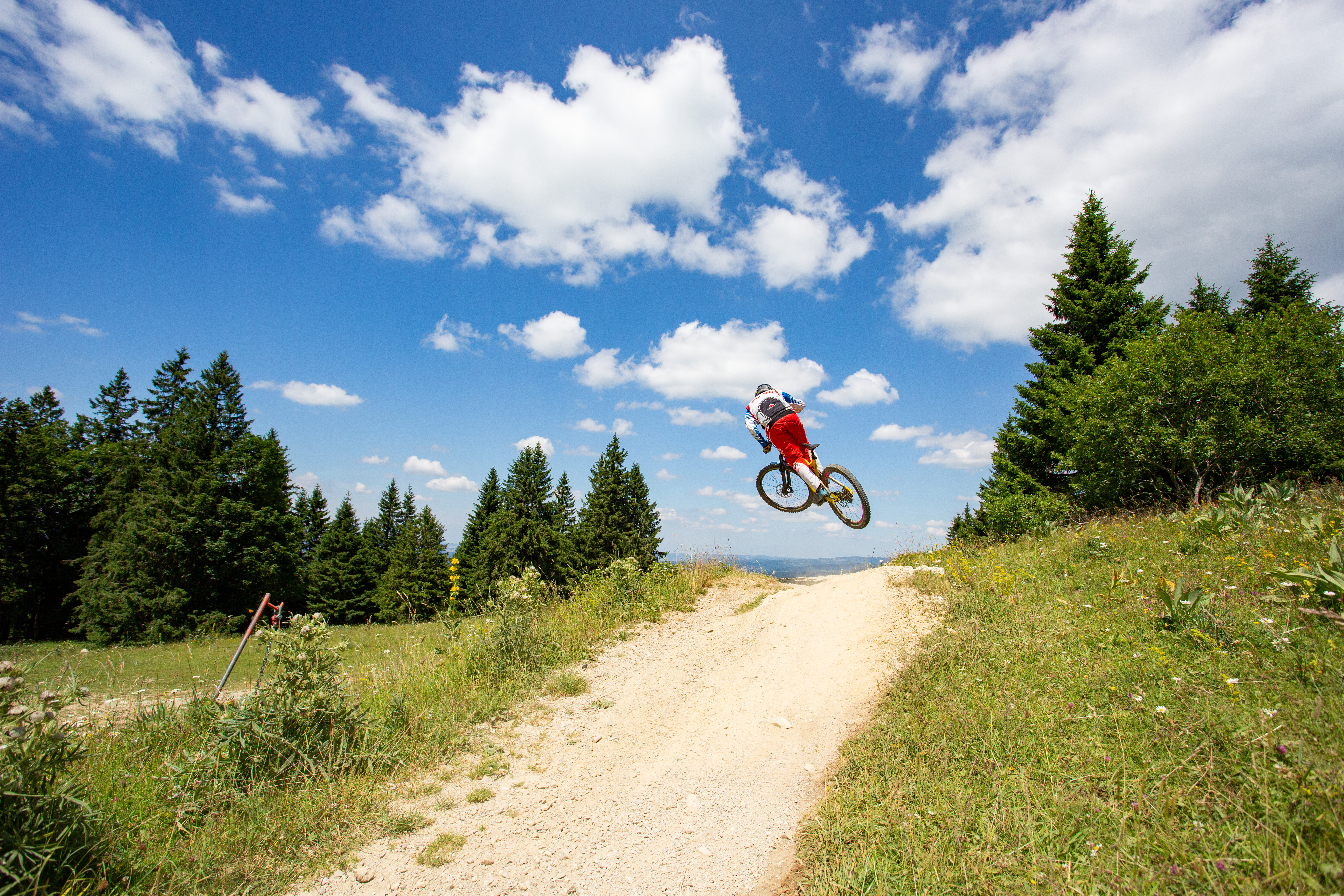 Saut