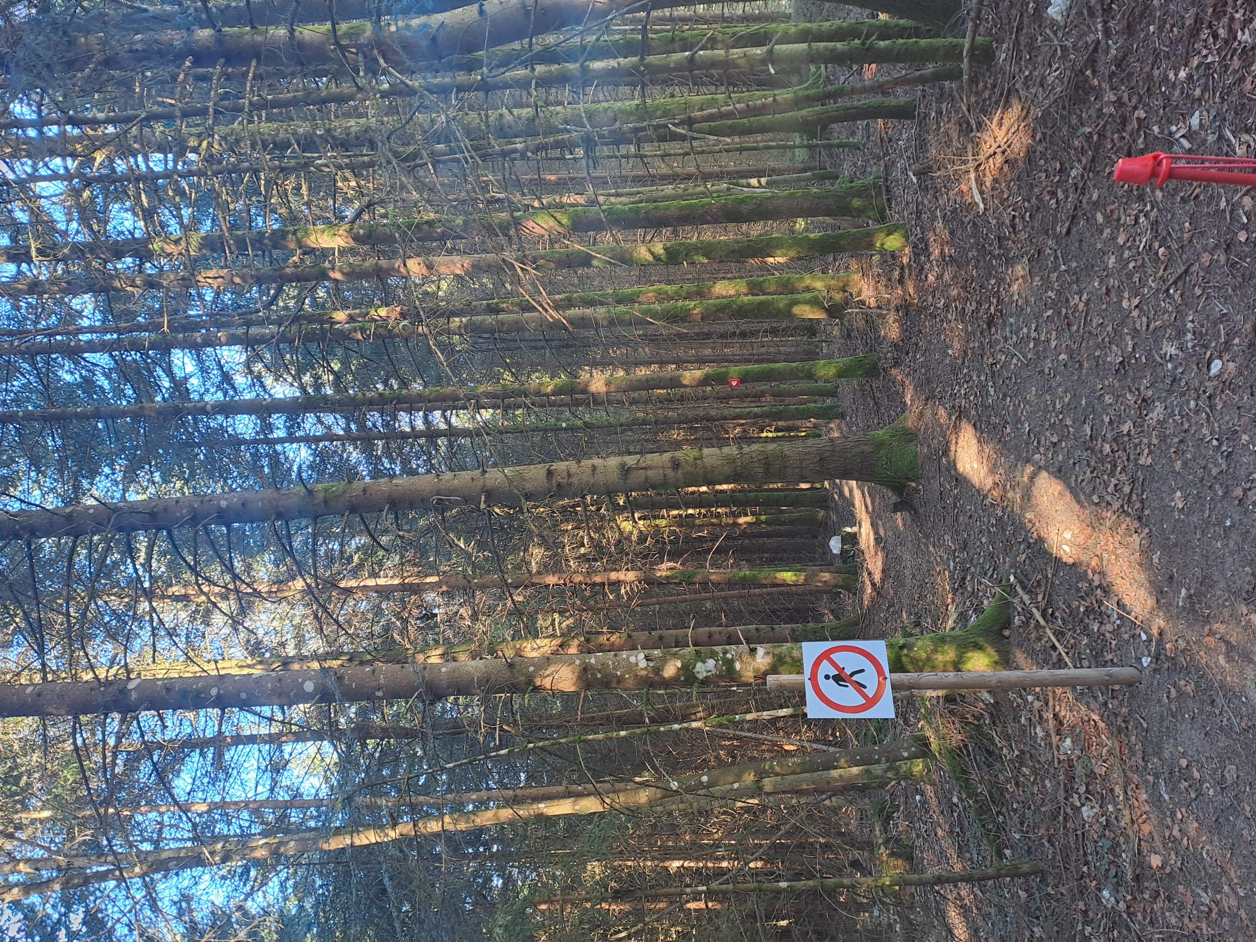 Début de la piste