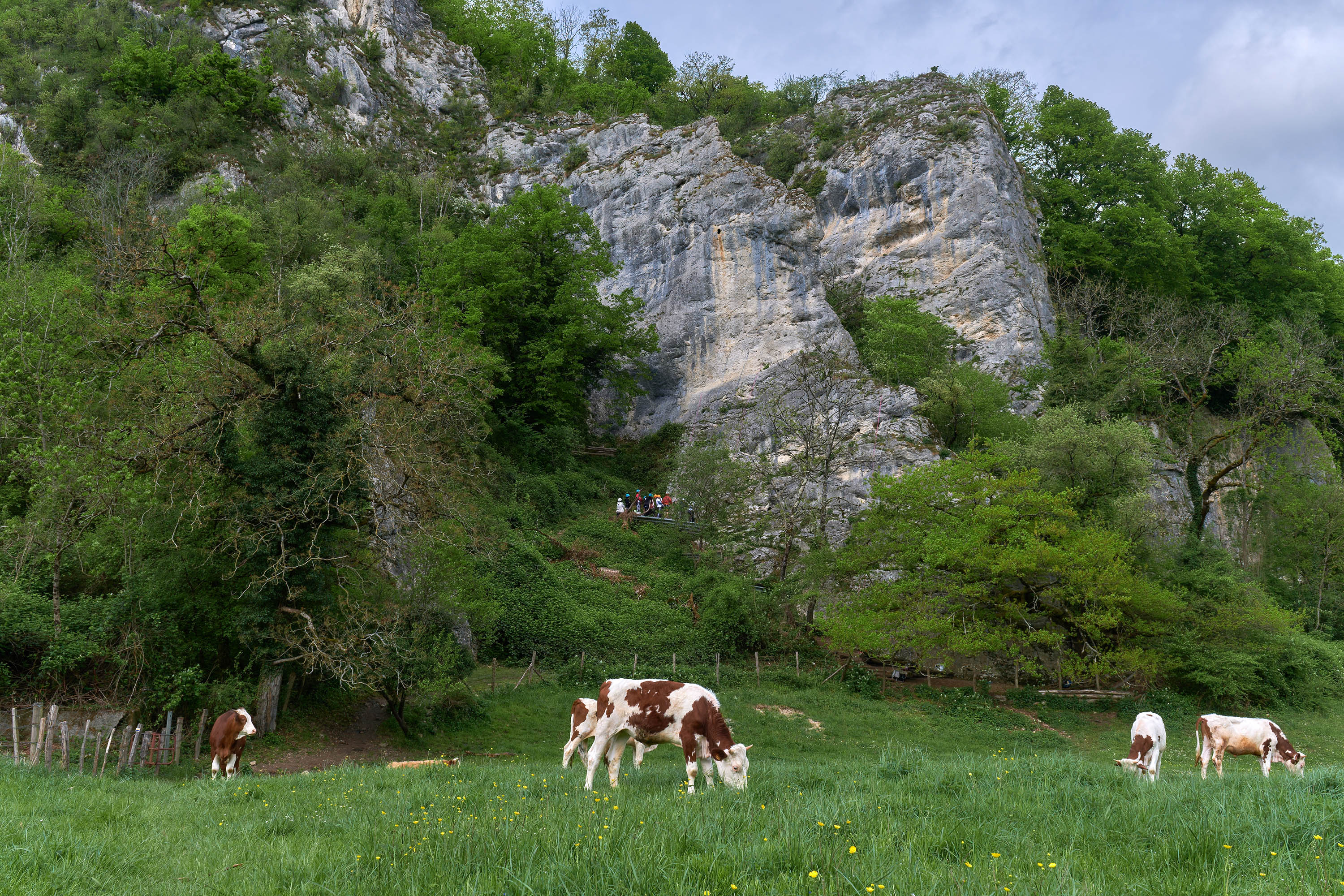 Falaises de Sous Buen