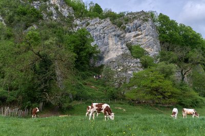 Falaises de Sous Buen