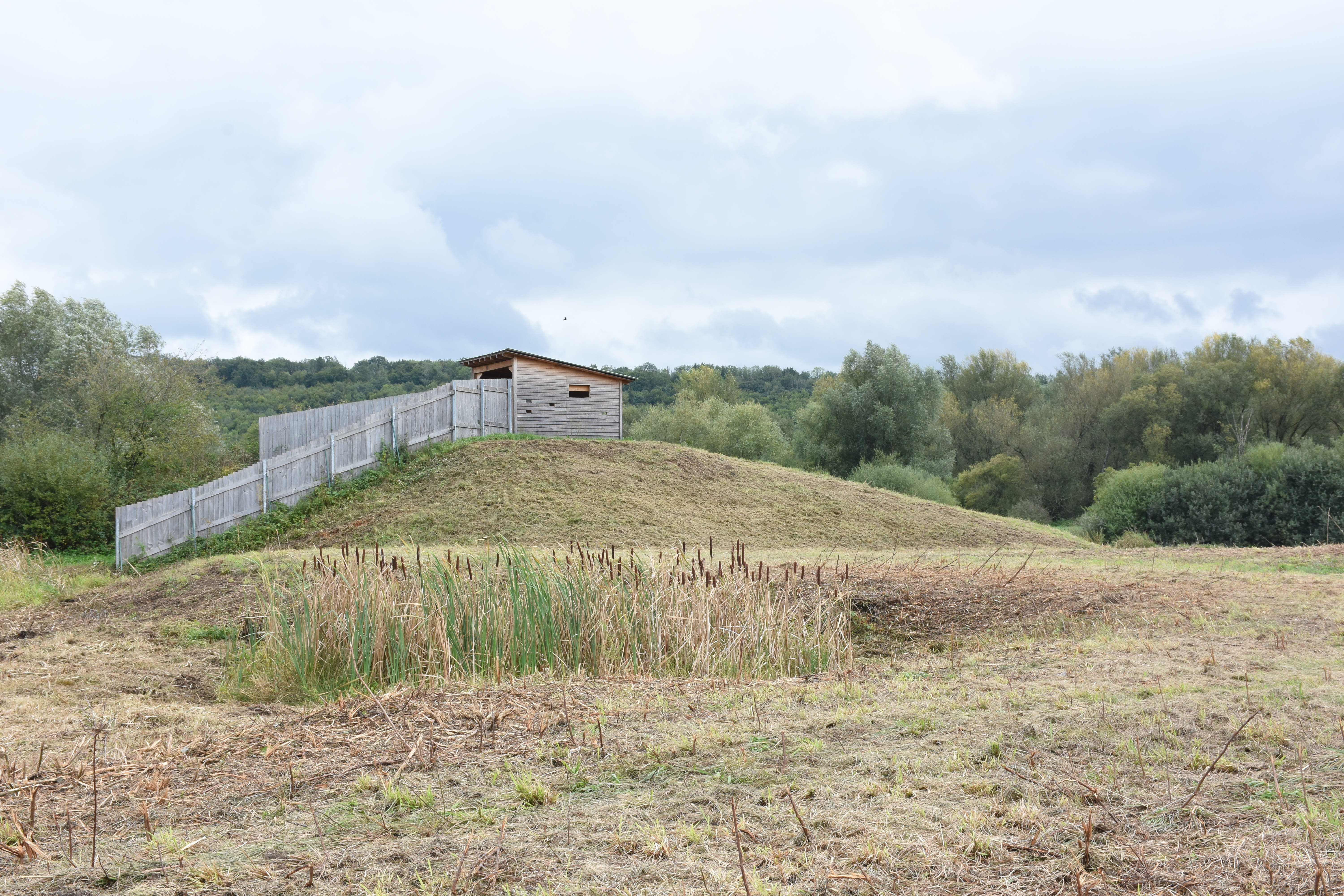 L'observatoire