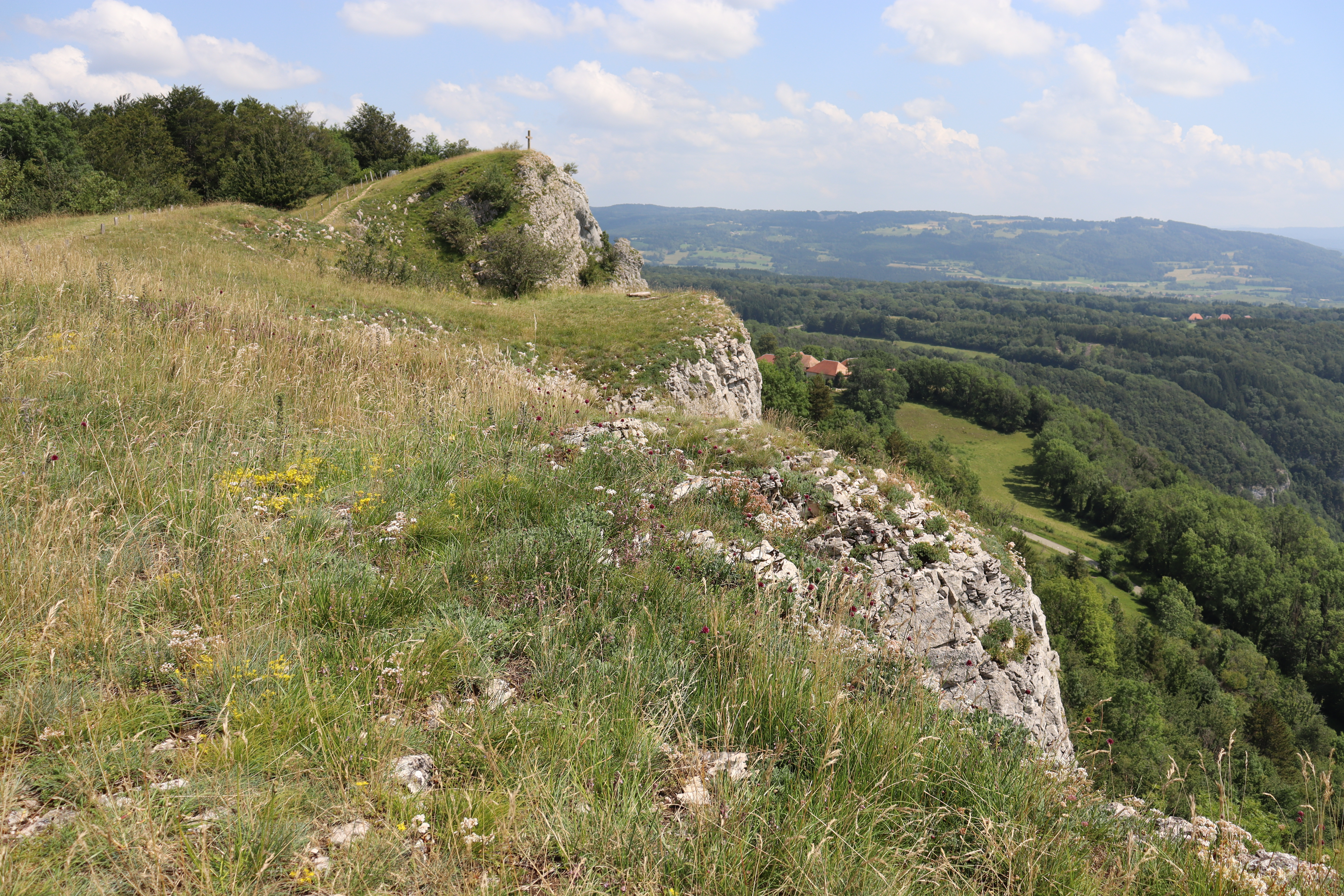 Sommet de la Roche de Hautepierre
