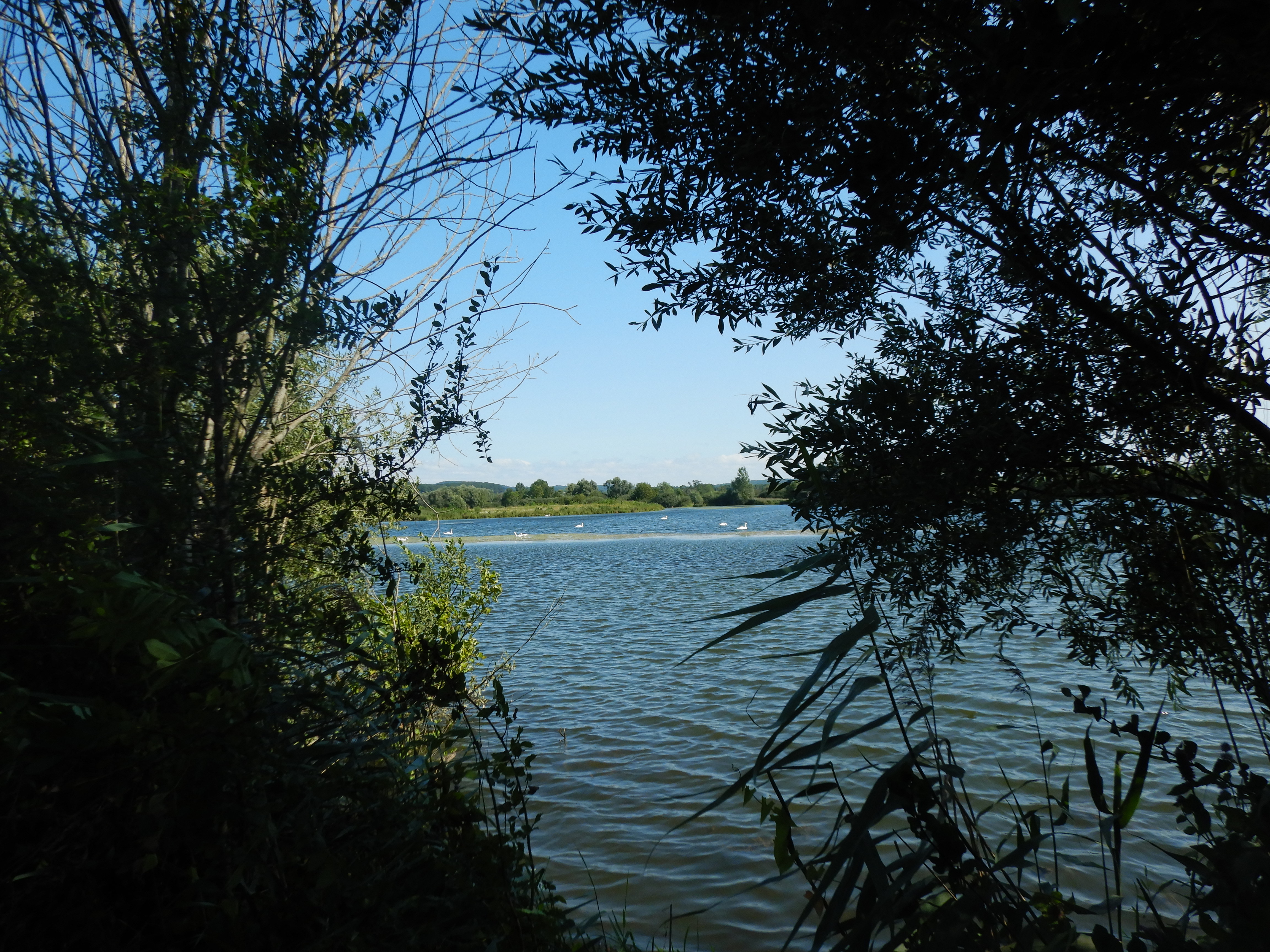 Gravière de Pagney
