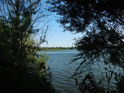 Gravière de Pagney