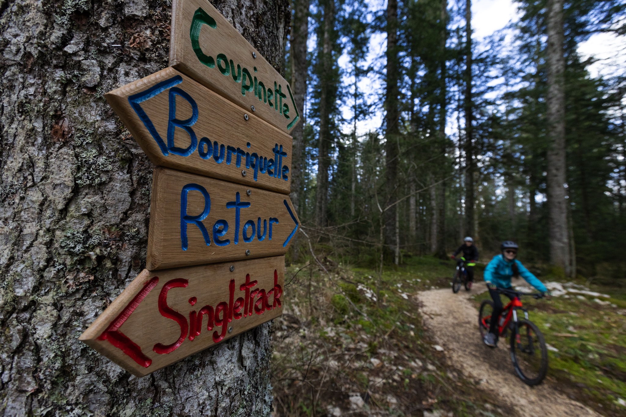 Signalétique des parcours