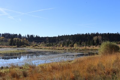 IMG_7147