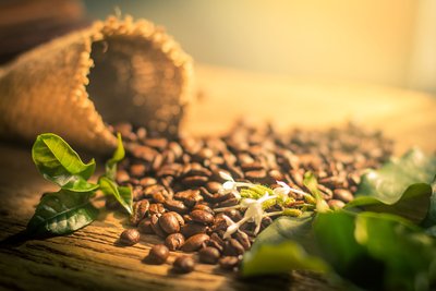 TECHNI-CAFÉ_1