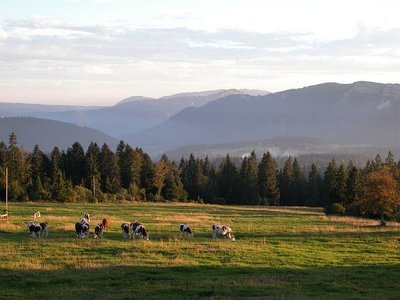 LE MONT DE L'HERBA_1