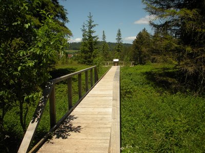 TOURBIÈRES DE MOUTHE_1