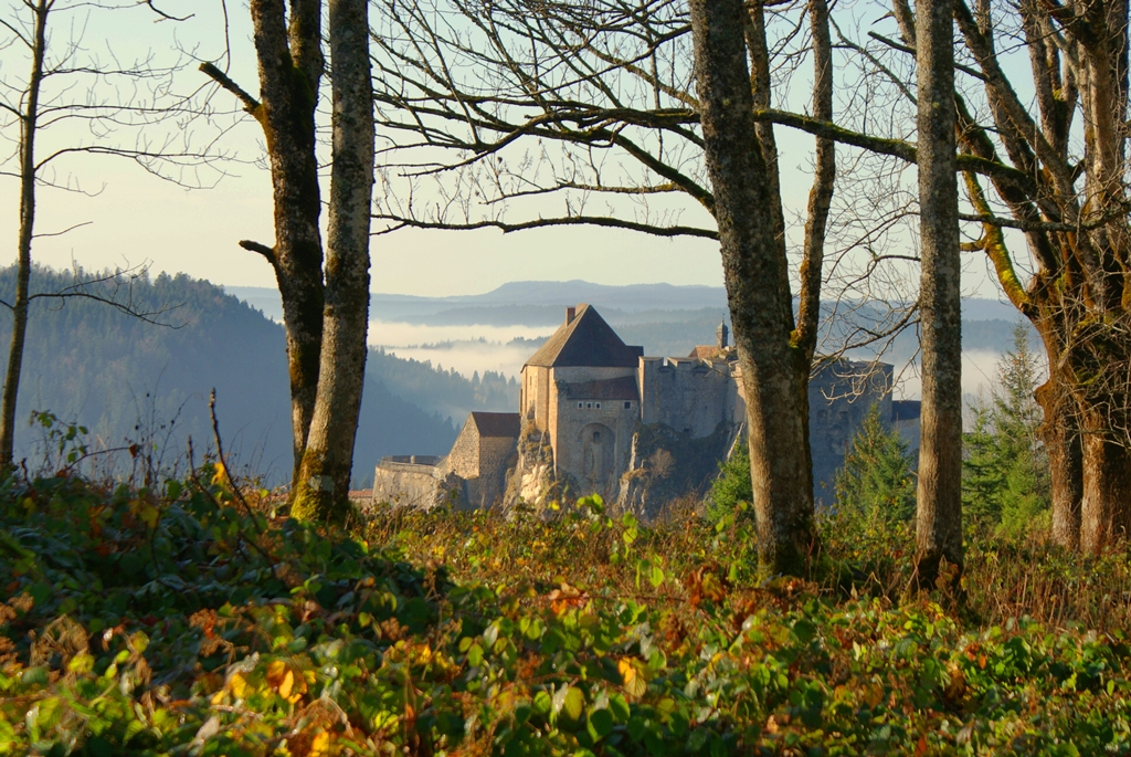POINT DE VUE DE LA FAUCONNIERE_1