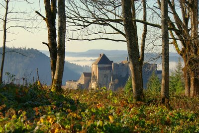 POINT DE VUE DE LA FAUCONNIERE_1