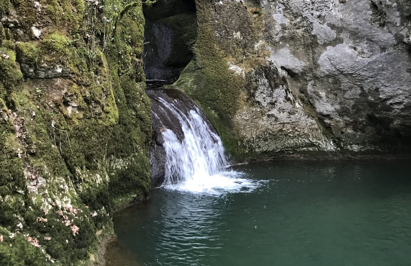 GOUR DE CONCHE