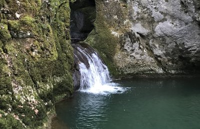 GOUR DE CONCHE