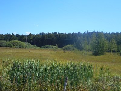 TOURBIÈRES DU BIEF BELIN_1