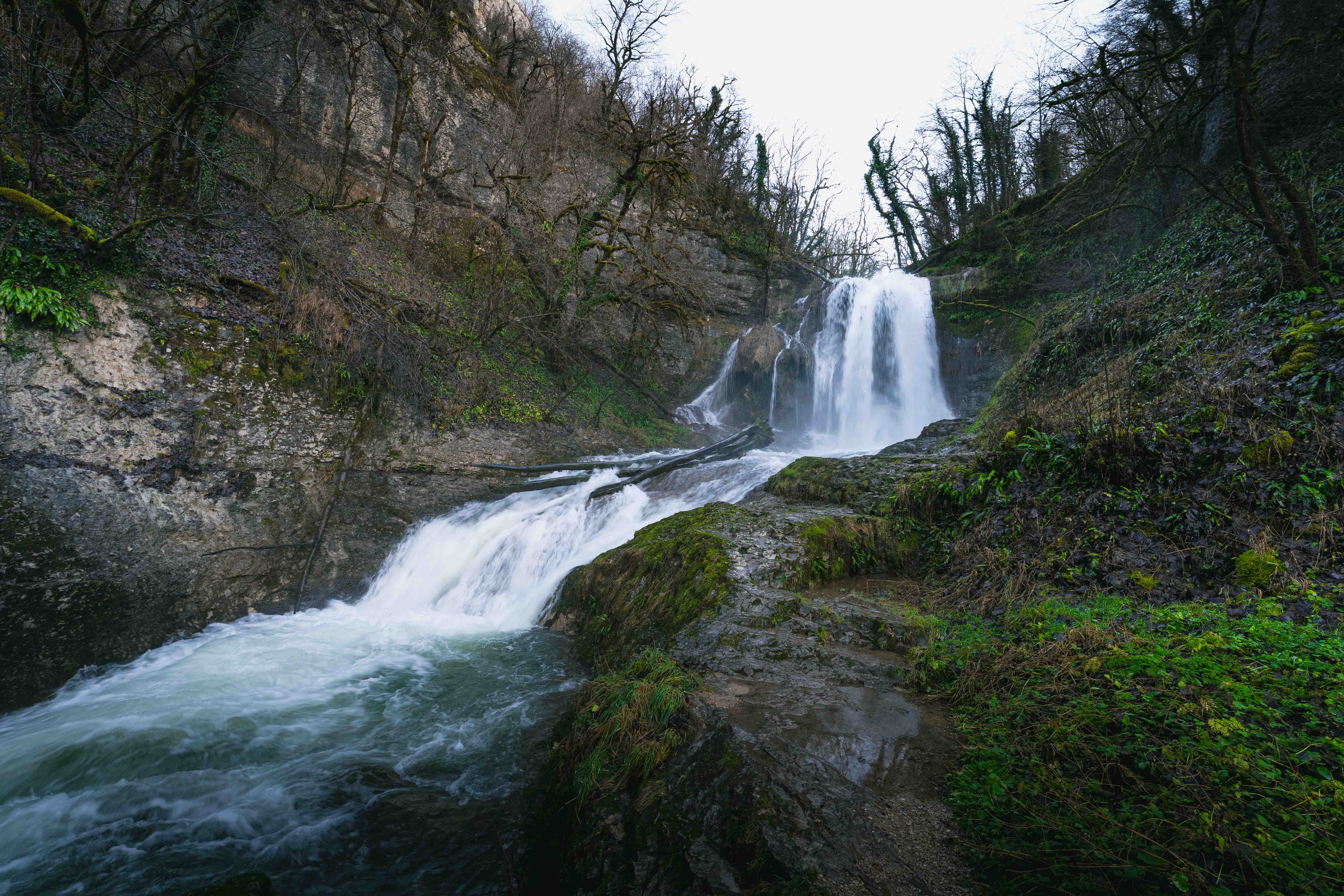 CCPHD-DEC2025-MAXIME NAEGELY-LOW-60