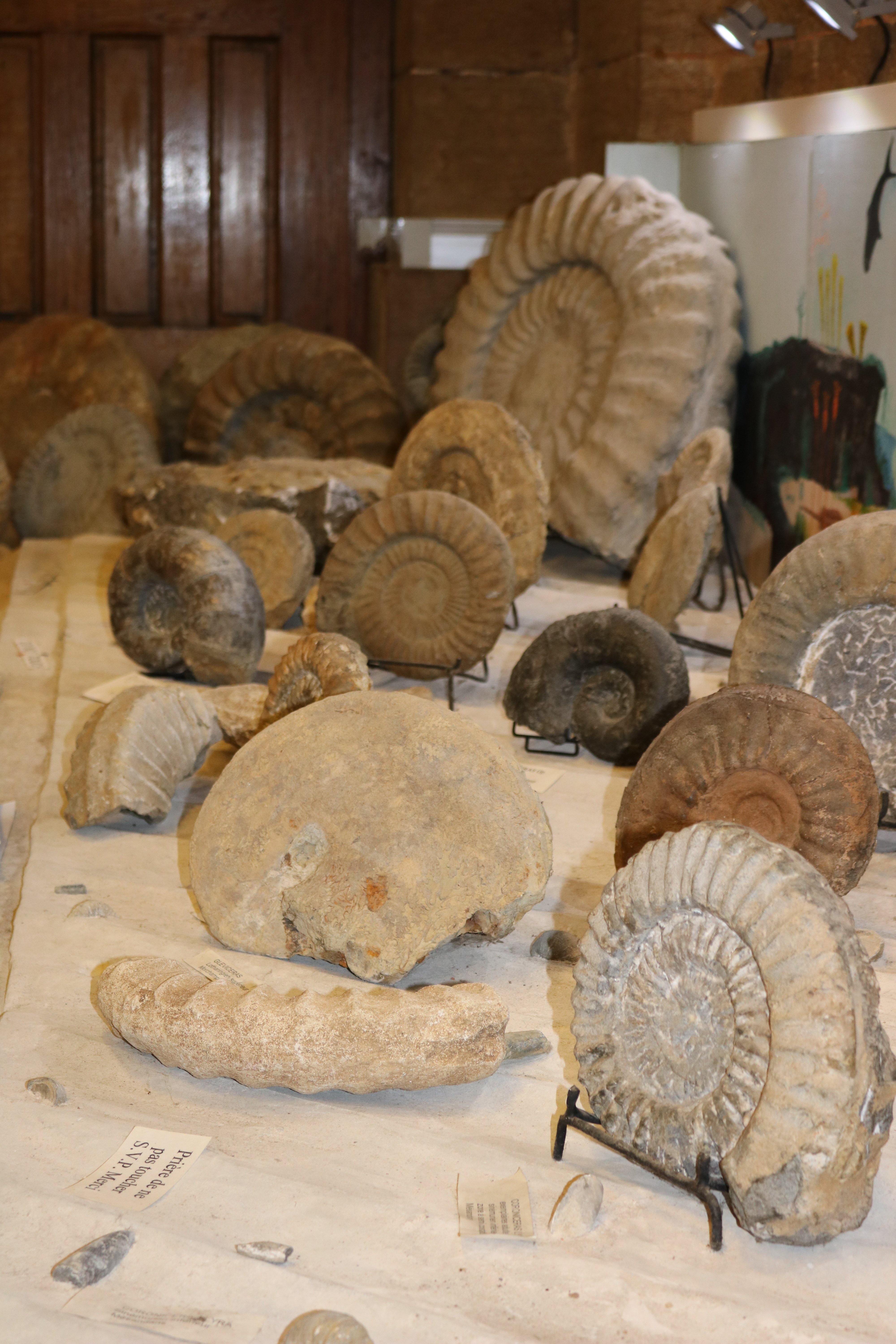 musee-mineraux-RGT (1)