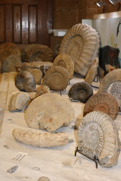 musee-mineraux-RGT (1)