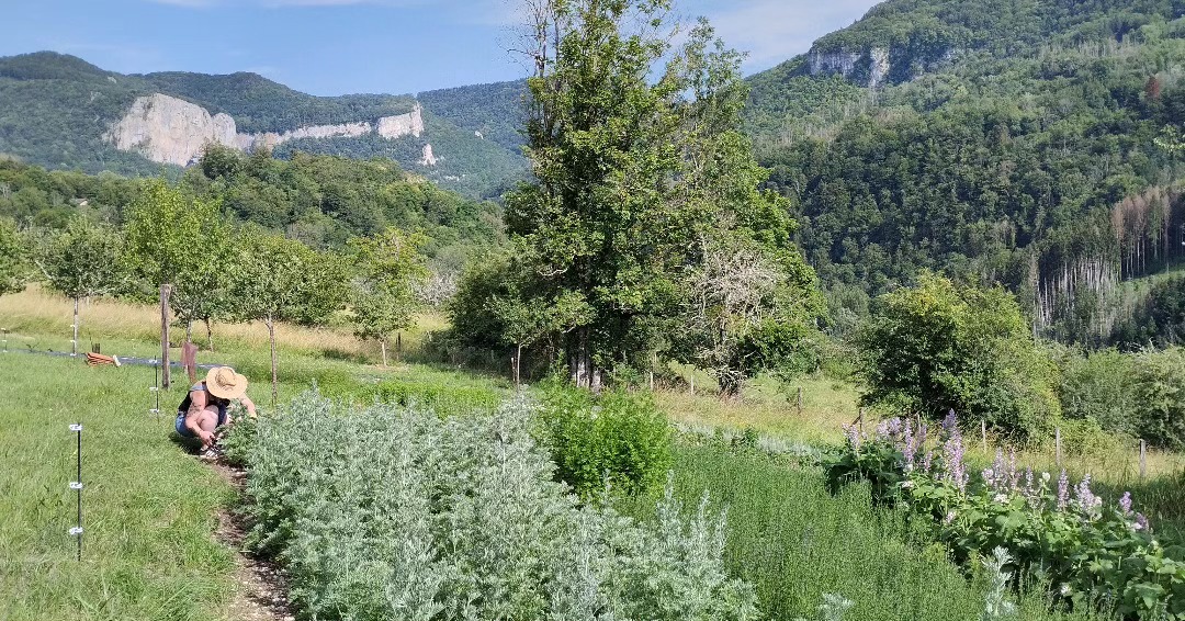 Les Jardins du Loutron