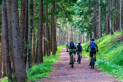 Sortie VTT
