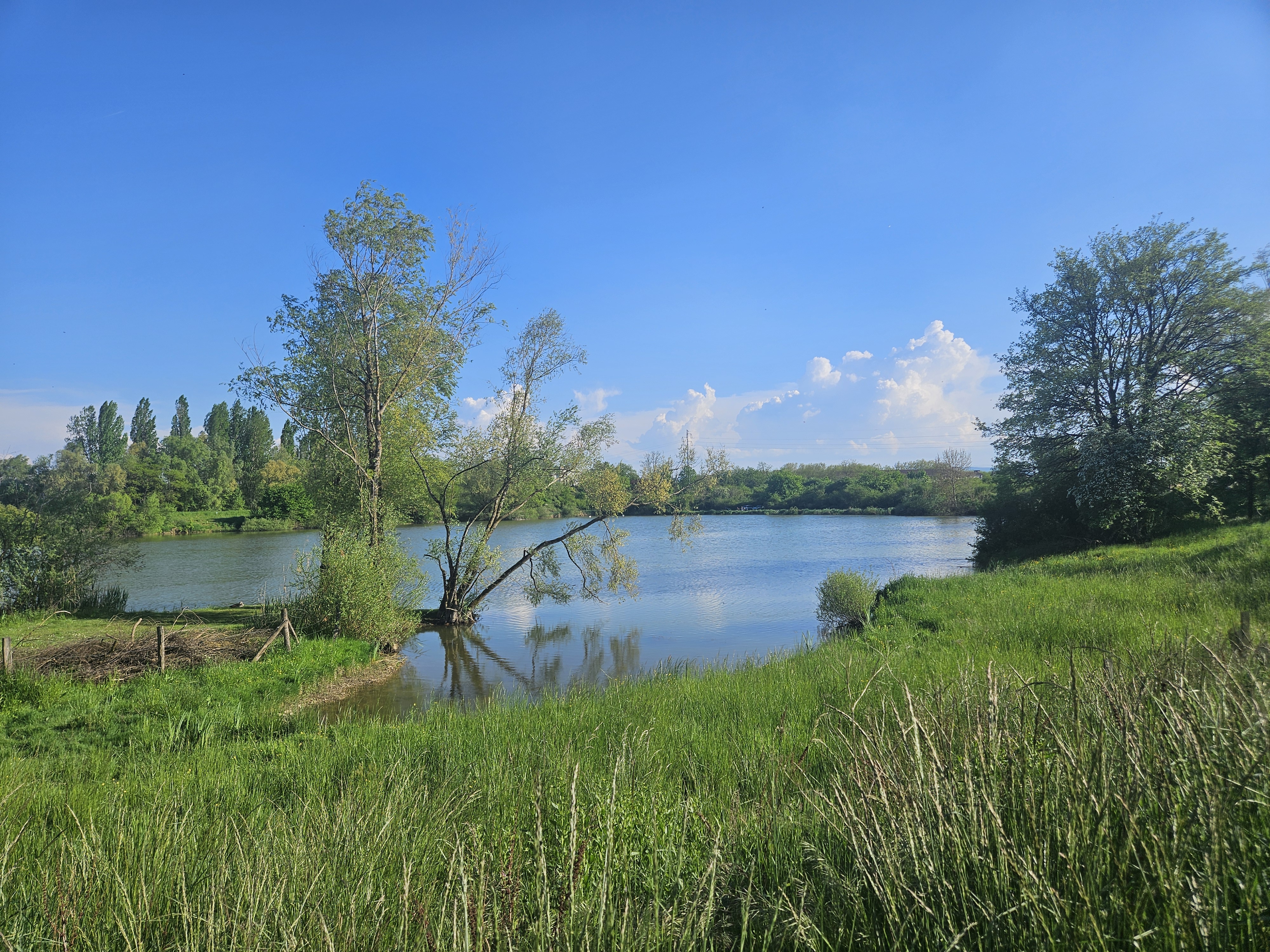 Parc des Alliaires