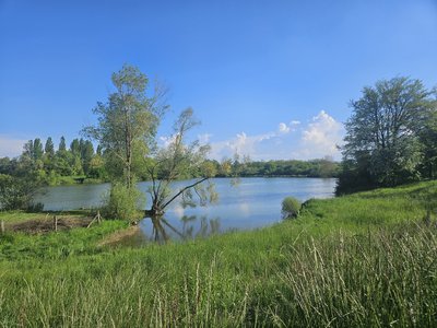 Parc des Alliaires