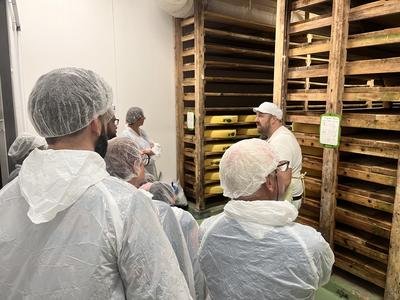 Cave à comté
