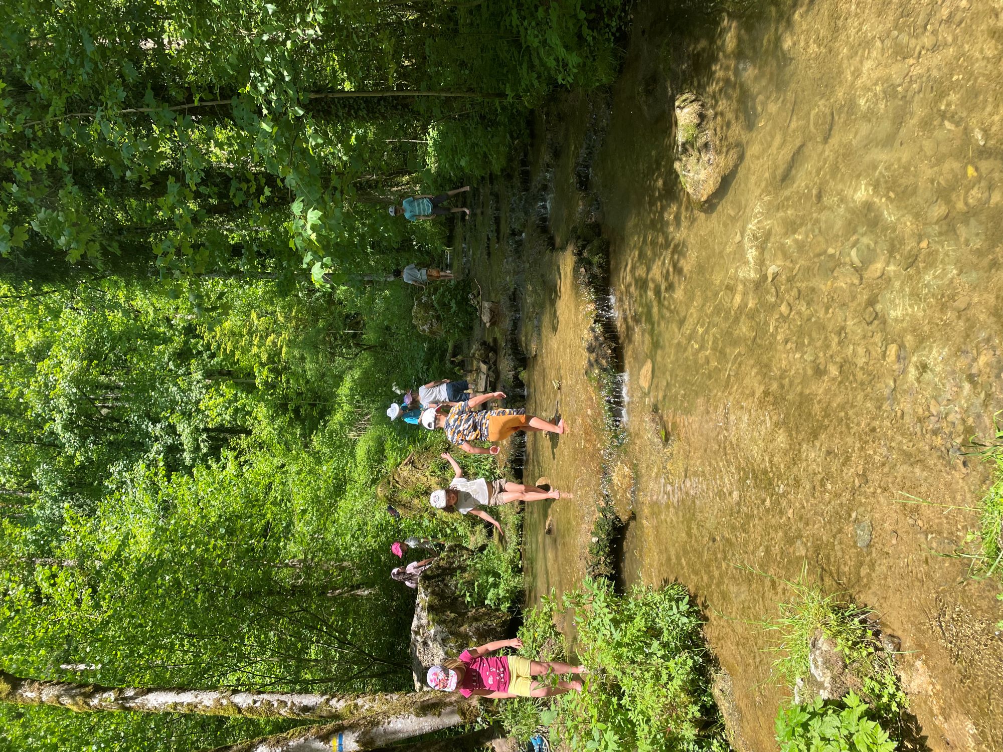 Haut-doubs-sport-nature-sortie nature