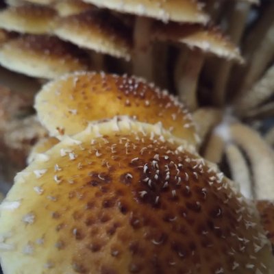 310977584_133819142737467_436667427716367353_n