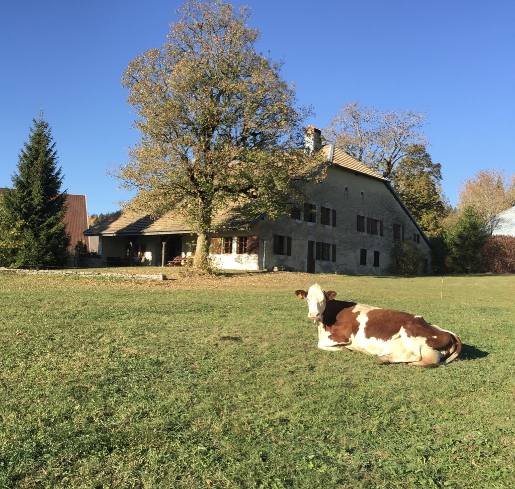 L'ANNEXE DU HAUT-DOUBS_1