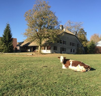 L'ANNEXE DU HAUT-DOUBS_1