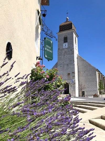 Hôtel D'Artiste