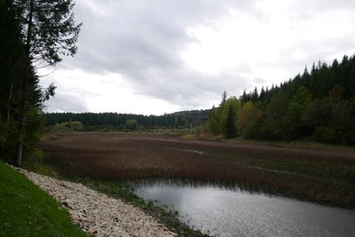 Étang du Barchet