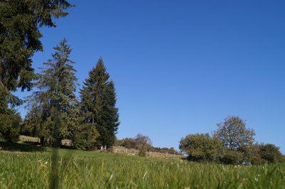 Les prés-bois