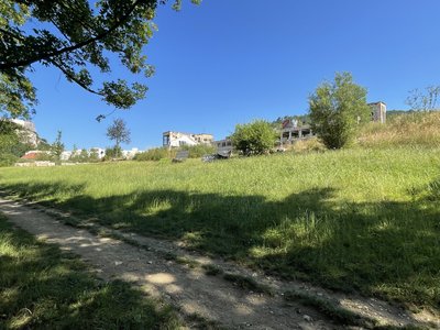 Friche de la Rhodia