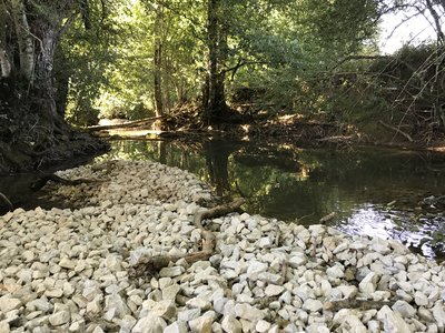 Le ruisseau du Crenu à Avilley