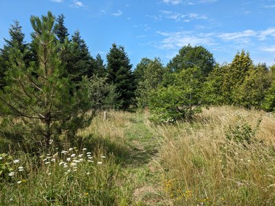 Arboretum