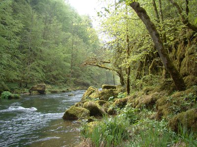 Le Doubs au Torret