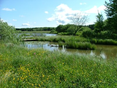 Le Creux du Moulin