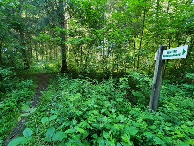 Sentier pédagogique de Cessay