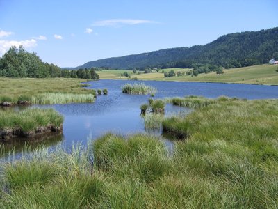 Tourbières de Chapelle-des-Bois