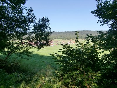 Bois du Croz