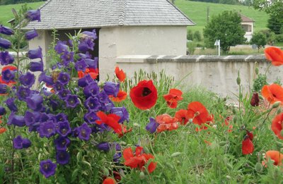 Jardin de curé de la Maison du Patrimoine de Remoray
