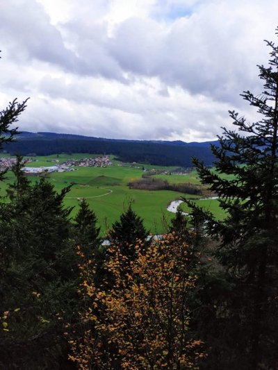 Roche Jeannin