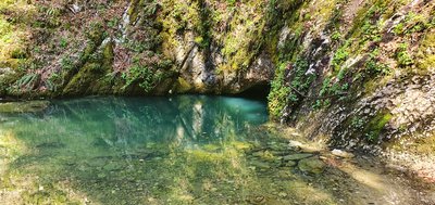 La source bleue au printemps