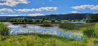 Réserve Nationale du Lac de Remoray