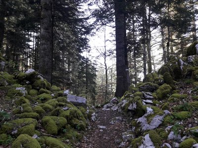 Col de la Barillette