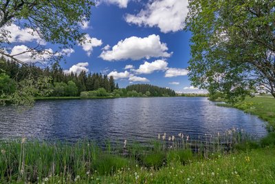 Etang du Moulin Frasne